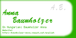 anna baumholzer business card